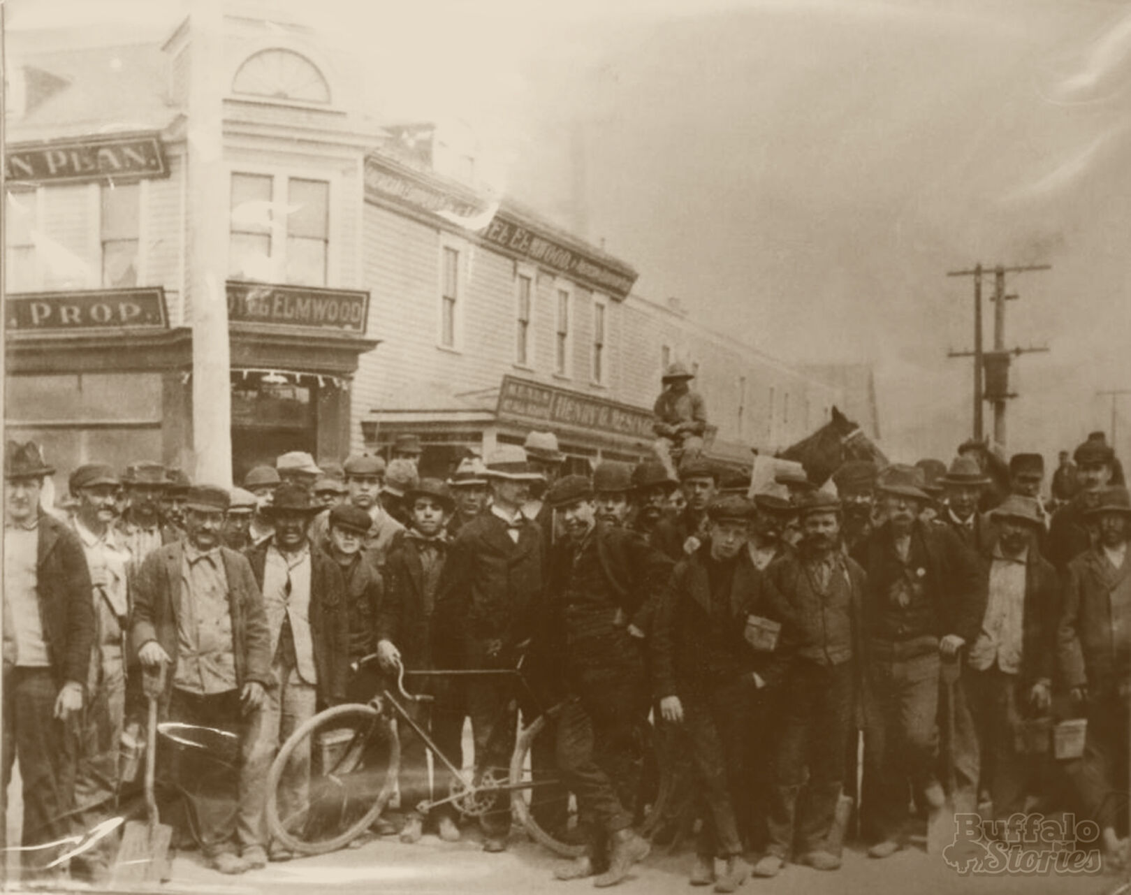 hotel elmwood.jpg